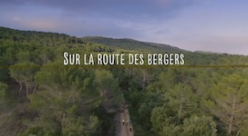 sur_la_route_des_bergers_vignette